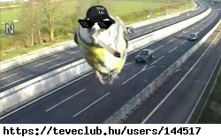 Ez !           