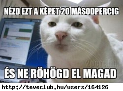 Ez !           