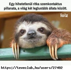 Ez !           